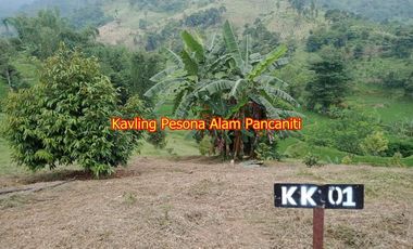 TANAH MURAH PESONA ALAM PANCANITI BOGOR HARGA 180 JUTA/ 1000 meter