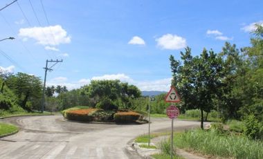 Land for Sale in Mandaue Cebu
