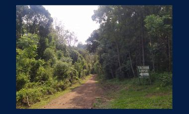 COMPLEJO TURISTICO EN LA SELVA MISIONERA A POCOS MINUTOS DE LA CIUDAD DE OBERÁ