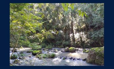 COMPLEJO TURISTICO EN LA SELVA MISIONERA A POCOS MINUTOS DE LA CIUDAD DE OBERÁ