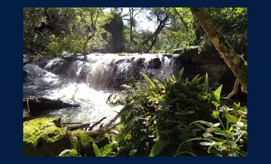 COMPLEJO TURISTICO EN LA SELVA MISIONERA A POCOS MINUTOS DE LA CIUDAD DE OBERÁ