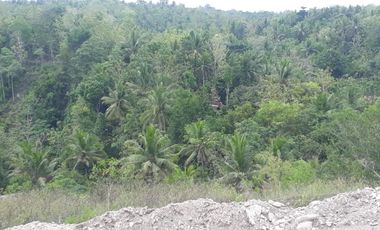 DIJUAL RUMAH SUBSIDI TERLARIS DI PAJANGAN