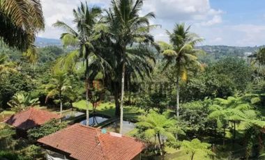 Dijual Termurah,Terluas, Termewah,Terasri Villa Super Exclusive Di Puncak Bogor