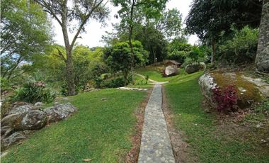 VENTA FINCA VALPARAISO, SUROESTE ANTIOQUEÑO