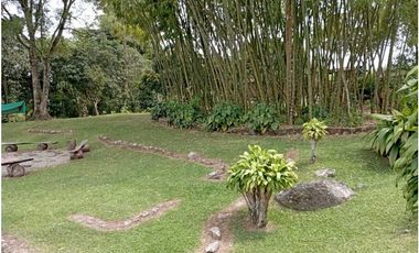 VENTA FINCA VALPARAISO, SUROESTE ANTIOQUEÑO