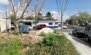 TERRENO EN RENTA EN CHETUMAL CENTRO