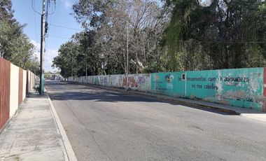 TERRENO EN RENTA EN CHETUMAL CENTRO