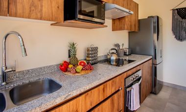 The Savia house · rooftop