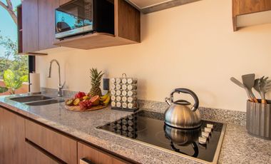 The Savia house · rooftop
