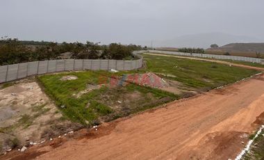 ¡Terrenos En Venta En Las Orquídeas – Aucallama! Desde 250 M² 🏡