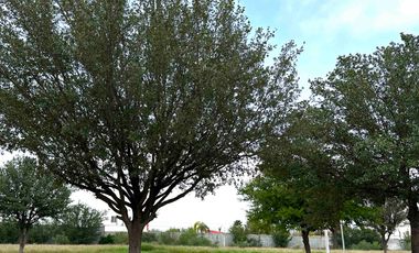 Quintas en Venta en Portal del Norte