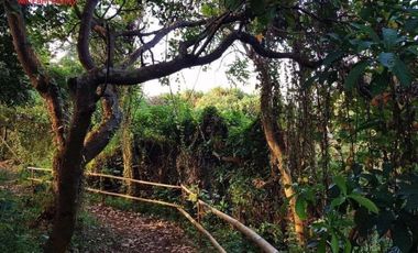 INVEST IN CORNER LOT FACING SOUTHWEST THE GLADES NEAR ADMU