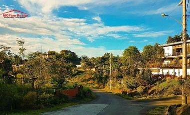 INVEST IN CORNER LOT FACING SOUTHWEST THE GLADES NEAR ADMU
