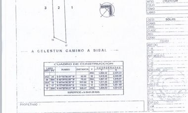 Terrenos en venta frente al Mar, Celestún de Diferentes ML, en El Palmar.