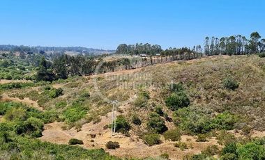 Terreno Construccion  en Venta en CAMINO ALGARROBO MIRASOL
