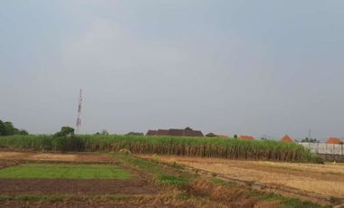 Lahan/Tanah Cocok untuk Perumahan