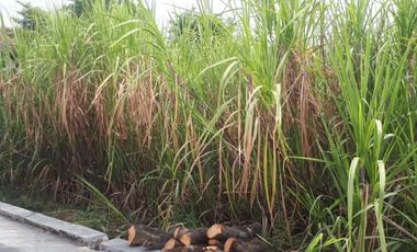 Lahan/Tanah Cocok untuk Perumahan