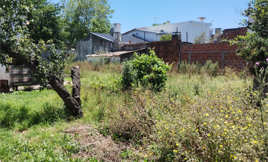 venta Lote de gran Superficie