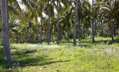 Tanah Murah Pinggir Pantai Malimbu Lombok View Sunset & 3 Gili
