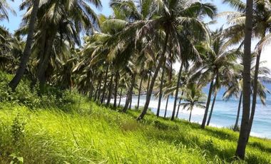 Tanah Murah Pinggir Pantai Malimbu Lombok View Sunset & 3 Gili