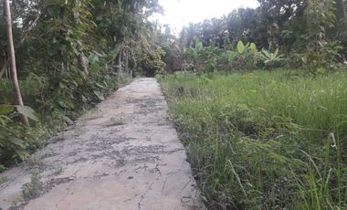 Rumah Nanggulan Kulonprogo Konsep Minimalis Modern