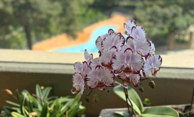 apartamento en arriendo en poblado san lucas. Cod A9317472