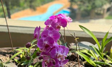 apartamento en arriendo en poblado san lucas. Cod A9317472