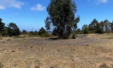Parcela en Venta en Los Aromos de Tunquen
