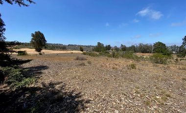 Parcela en Venta en Los Aromos de Tunquen