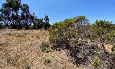 Parcela en Venta en Los Aromos de Tunquen
