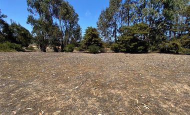 Parcela en Venta en Los Aromos de Tunquen