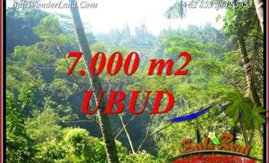 View Tebing dan Sungai LT 7,000 m2 di Ubud Tegalalang