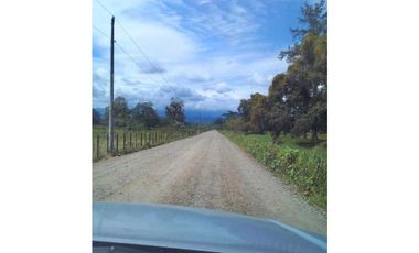 VENDO 60 HECTAREAS PARA GANADERIA