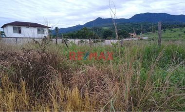 En Venta: ¡Terreno En Esquina - Frente A Las Lomas De Coperholta- Tarapotillo.