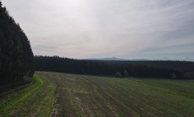 Vista Volcanes