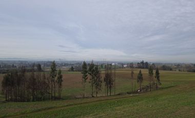 Vista Volcanes