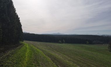 Vista Volcanes