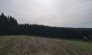 Vista Volcanes