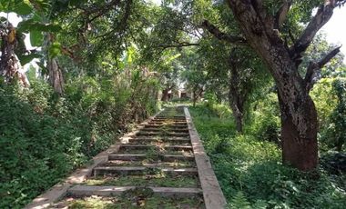 Tanah Kebun Cocok Untuk Tempat Wisata atau Resort Jalan Pangeran Kejaksan Sumber Cirebon