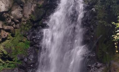 Venta de Terreno con cascada y rio - Teocelo, Veracruz