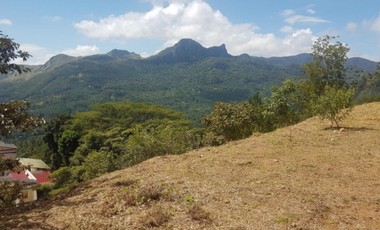 VENTA TERRENO EN ALTOS DEL MARIA cv