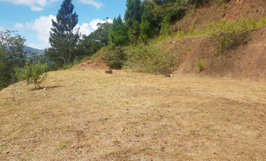 VENTA TERRENO EN ALTOS DEL MARIA cv