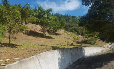 VENTA TERRENO EN ALTOS DEL MARIA cv