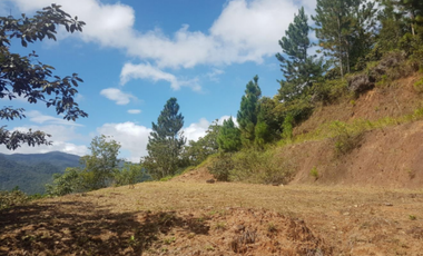 VENTA TERRENO EN ALTOS DEL MARIA cv