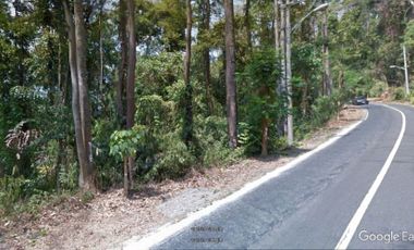100 Hectares Lot for Sale in Mabayo Morong Bataan