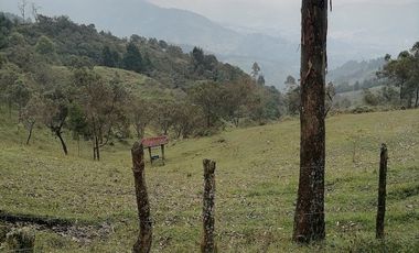 Venta finca Caldas Antioquia