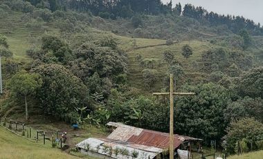 Venta finca Caldas Antioquia