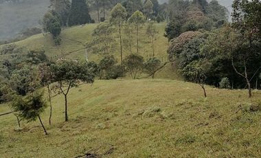 Venta finca Caldas Antioquia