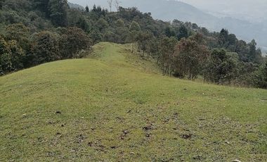Venta finca Caldas Antioquia