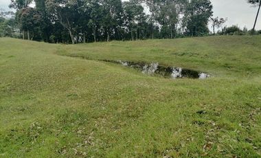 Venta finca Caldas Antioquia